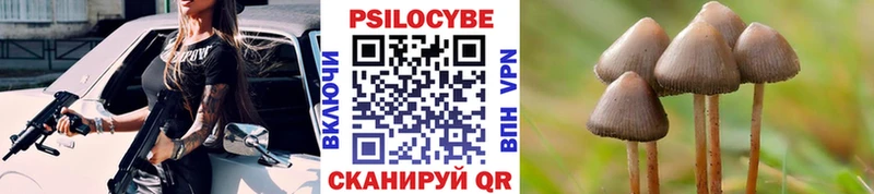 Галлюциногенные грибы Psilocybe Дюртюли